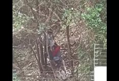 Novinha fazendo boquete no mato
